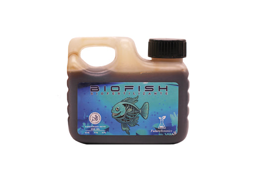 BioFish – Aminoácidos marinos sostenibles (Caja x 12 unidades)